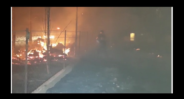 Bakan Oğuz: Yangını söndürmek için bölgedeki herkes yoğun çaba sarf ediyor