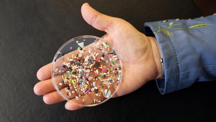 Beyne giden mikroplastikler, davranış değişikliklerine yol açıyor
